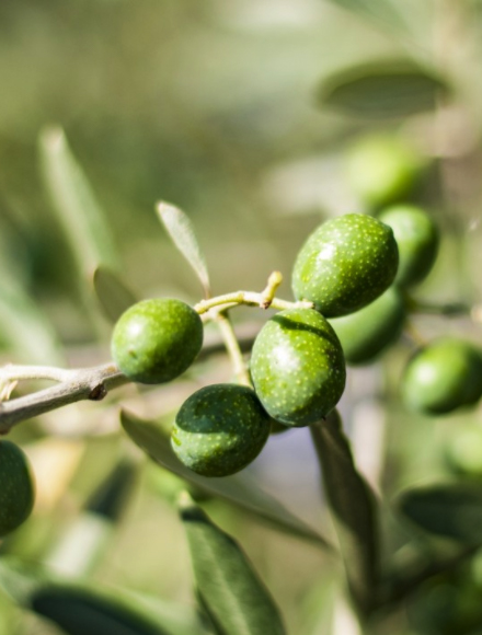 2003网站太阳集团-首页(接待您!)