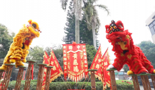 龙腾狮跃，，，，，共铸绚烂未来！